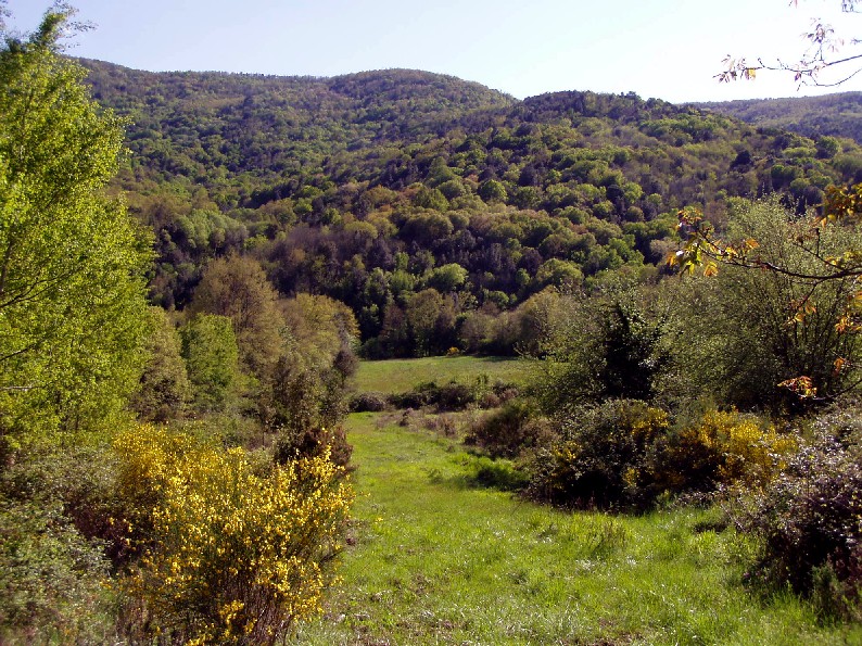 Valle del Farma e Stagno della Troscia: luoghi meravigliosi!